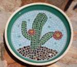 Cactus Waterer